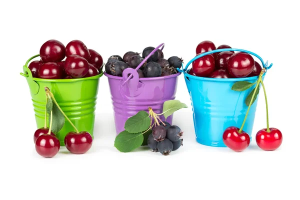 Three buckets with berries — Stock Photo, Image