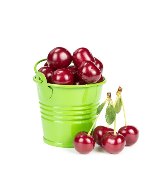 Ripe cherries in a bucket — Stock Photo, Image