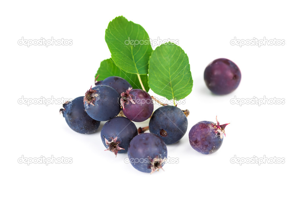 berry blueberries isolated on white