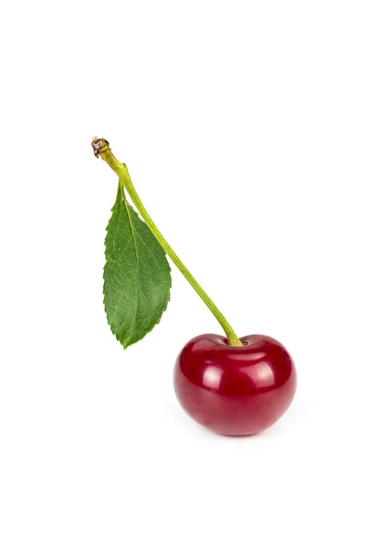 Juicy ripe cherry — Stock Photo, Image