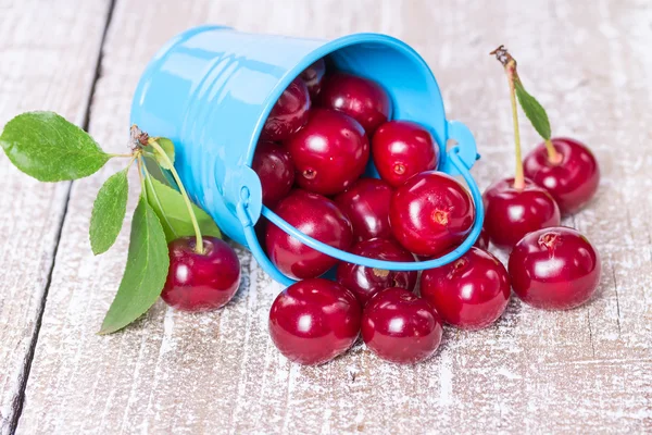 Ripe cherries in a bucket — Stock Photo, Image