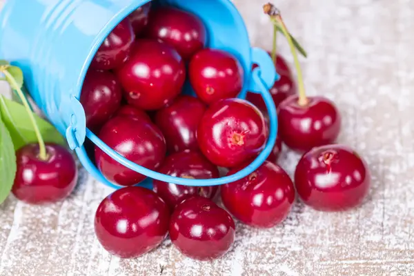 Ripe cherries in a bucket — Stock Photo, Image