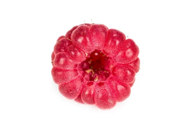 One ripe raspberry — Stock Photo, Image