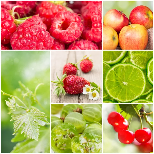 Colagem de frutos de verão — Fotografia de Stock