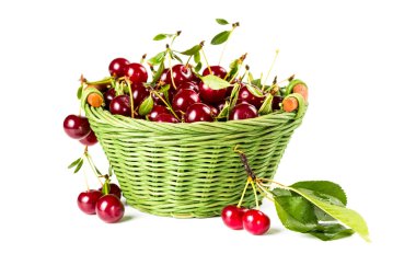 hasır sepet içinde Olgun Kiraz