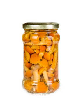 Cam Kavanoz içinde Marine mantar