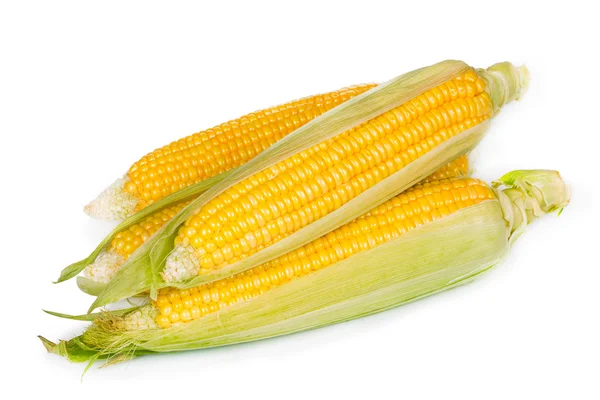 Čerstvá kukuřice — Stock fotografie