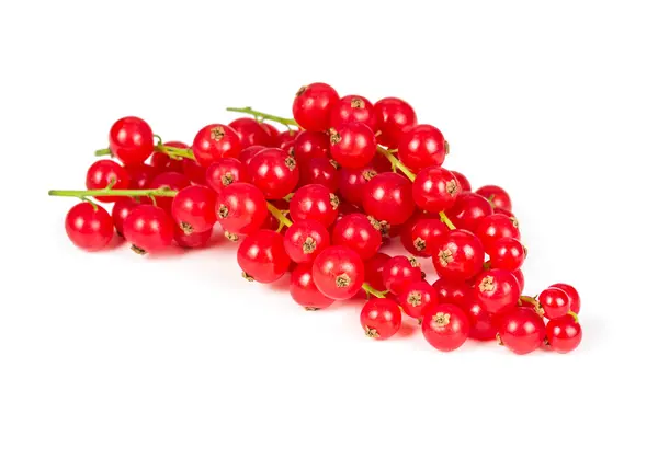 Sprig of red currant — Stock Photo, Image