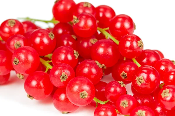 Sprig of red currant — Stock Photo, Image