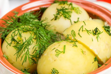 Boiled potatoes with vegetable