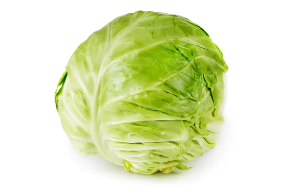 Cabbage isolated — Stock Photo, Image