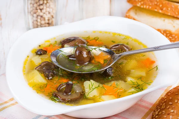 Soupe aux champignons — Photo