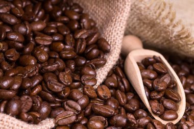 çuval çuval içinde kavrulmuş kahve çekirdeği.