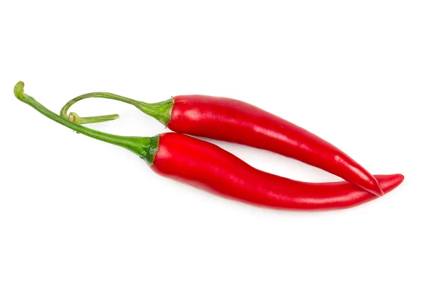 Röd het chilipeppar — Stockfoto