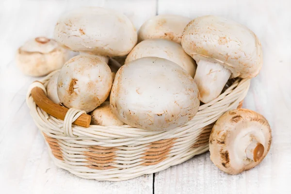 Champignons dans un panier en osier — Photo