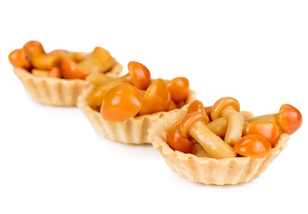 버섯 꿀 agarics와 tartlet 배열 한다 — 스톡 사진