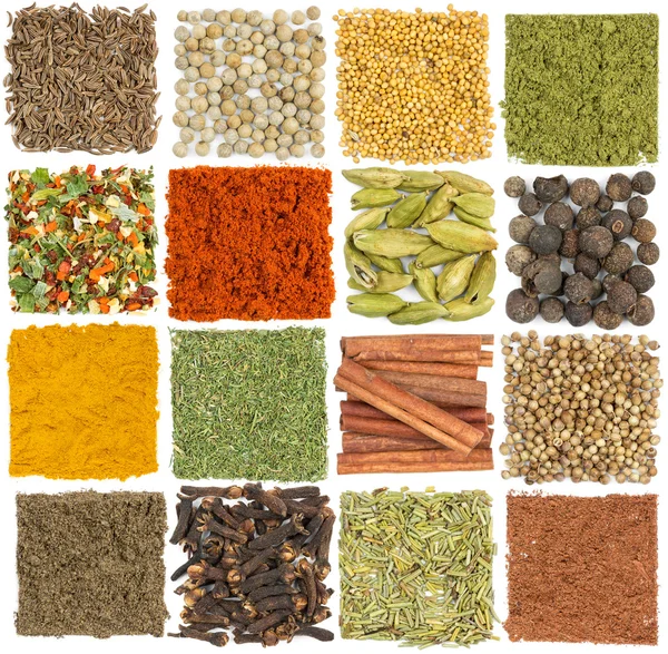 Set of spices isolated on white — Stock Photo, Image