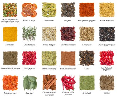 beyaz izole baharat seti