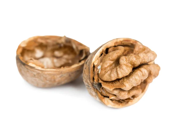 Walnuts in shell — Stock Photo, Image