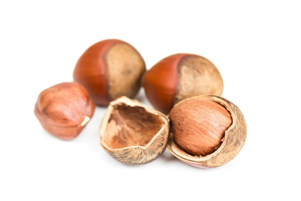 Hazelnuts in shell0 — Stock Photo, Image