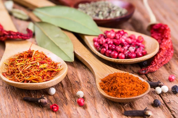 Different spices in the spoons — Stock Photo, Image