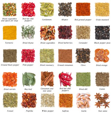 beyaz izole baharat seti