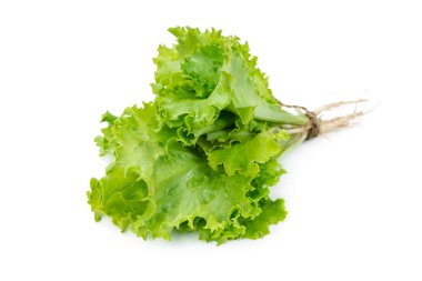 taze yeşil salata 