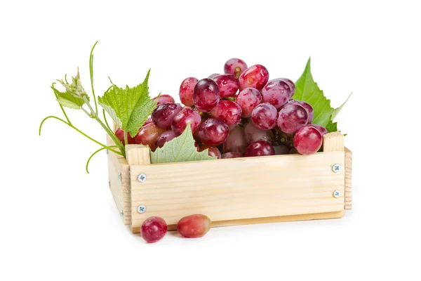 木製のボックスで赤ブドウ — ストック写真