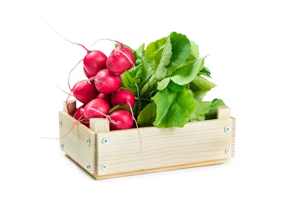 Lot de radis dans une boîte en bois — Photo