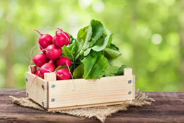 Bunch of radishes in a wooden box — Stock Photo, Image