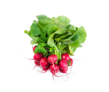 Bunch of radishes 