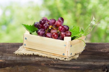 Olgun kırmızı üzüm  