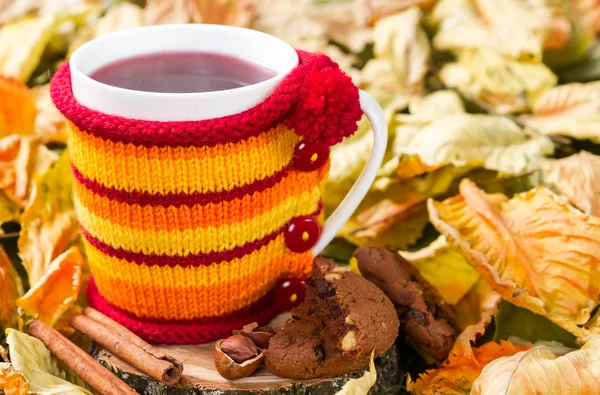 Fruit tea in a cup in a knitted cover — Stock Photo, Image