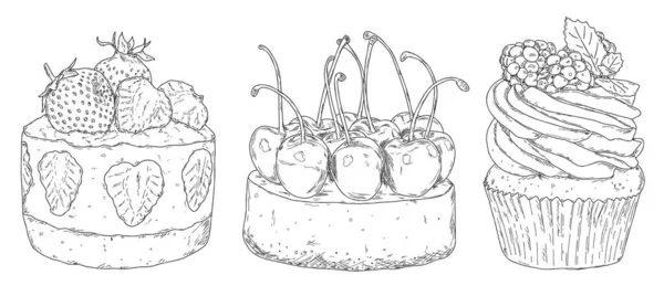 Ensemble Trois Croquis Dessinés Main Différents Gâteaux Aux Baies Fraîches — Image vectorielle