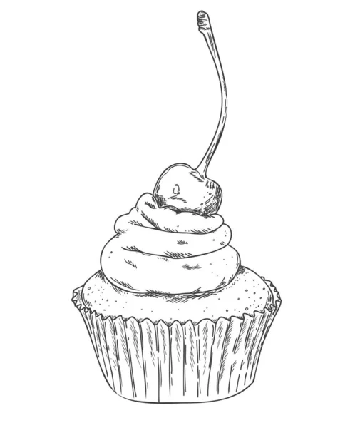 Cupcake Contour Dessiné Main Avec Cerise — Image vectorielle