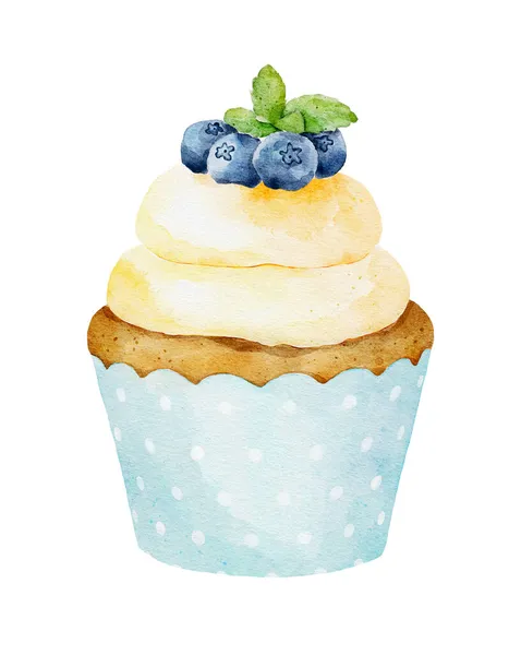 带有蓝莓和新鲜薄荷的水彩杯蛋糕 背景为白色 手绘菜单 咖啡店 广告等设计图解 — 图库照片
