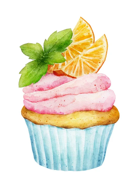 用橙子和新鲜薄荷与白色背景隔离的水彩杯蛋糕 手绘菜单 咖啡店 广告等设计图解 — 图库照片
