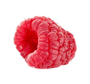 Beyaz arka planda izole edilmiş olgun bir ahududu. Yüksek alan derinliği.