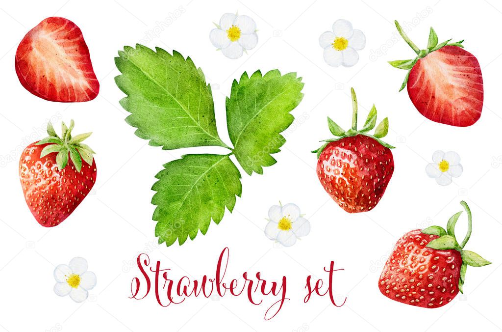 Set of watercolor strawberries isolated on white background. Hand drawn watercolor botanical illustration.
