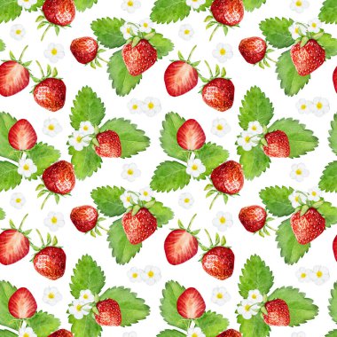 Beyaz arka planda izole edilmiş suluboya çilekli kusursuz desen. El çizimi suluboya çizimi. Tekstil, ambalaj kağıdı, tasarım hurda defteri, davetiye ve diğer şeyler için kullanılabilir..