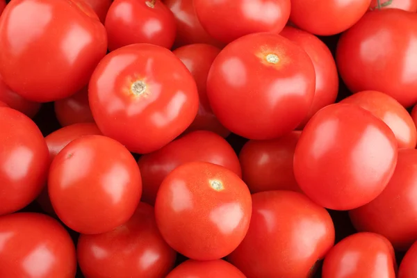 Pomidory, kafelki — Zdjęcie stockowe