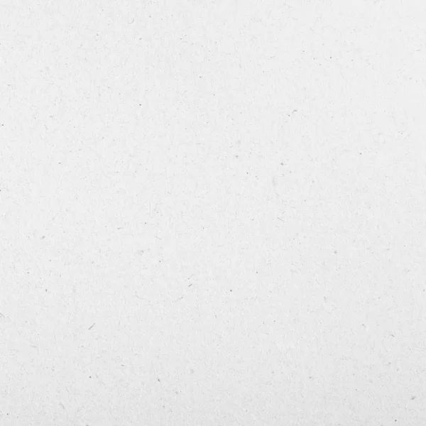 ホワイトペーパー — ストック写真