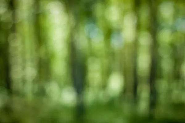 Natuur bokeh Rechtenvrije Stockfoto's