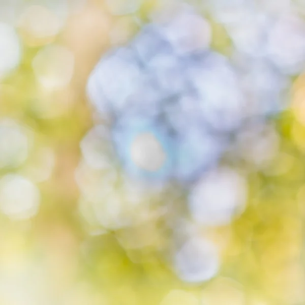 Natur-Bokeh — Stockfoto