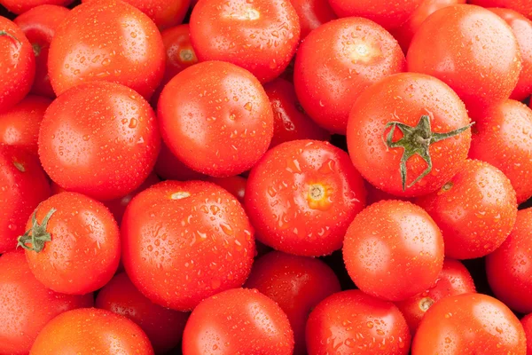 Dojrzałe pomidory czerwone — Zdjęcie stockowe