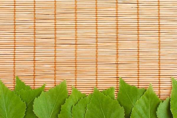Grüne Blätter und Bambus — Stockfoto