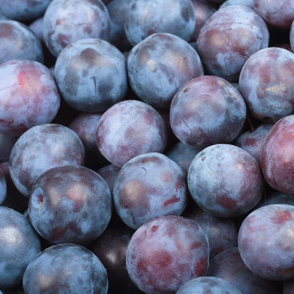 Ripe Plums — Stock Photo, Image