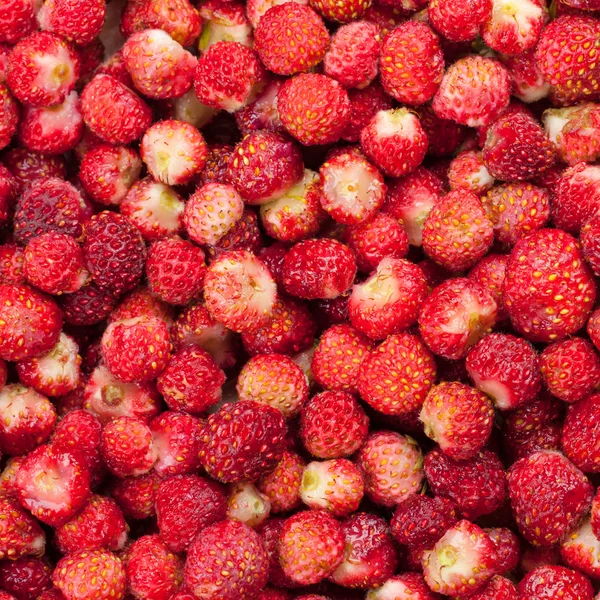 Strawberries — Stock Photo, Image