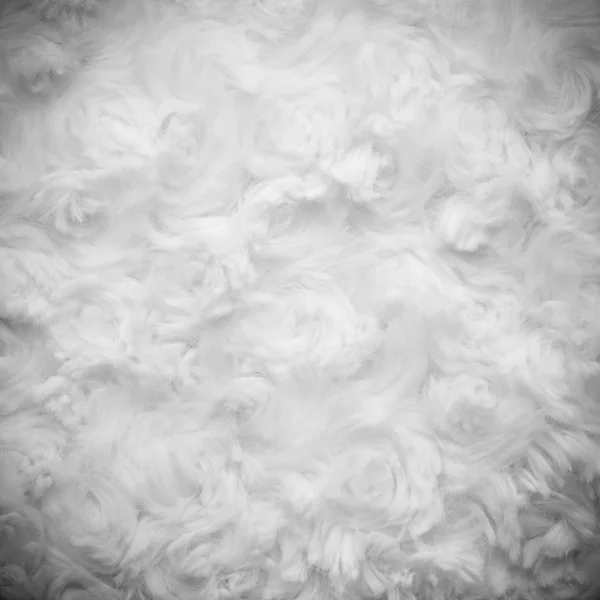 Cotton Wool — Stock Photo, Image