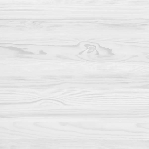 Beyaz Orman — Stok fotoğraf